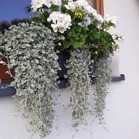 Apartament Nad Zatoka *